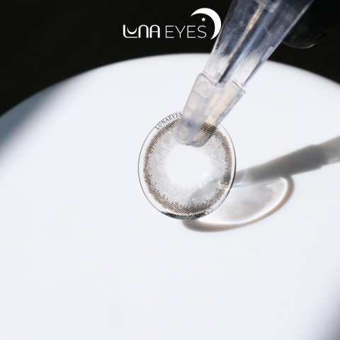 456 GRAY - size vừa