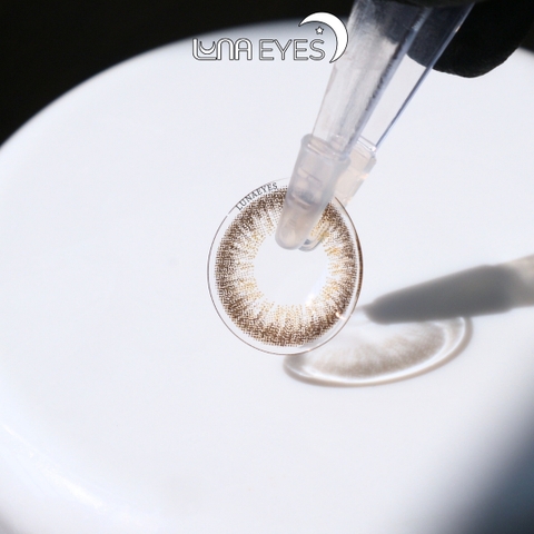 (XẢ) 539 BROWN - size nhỏ