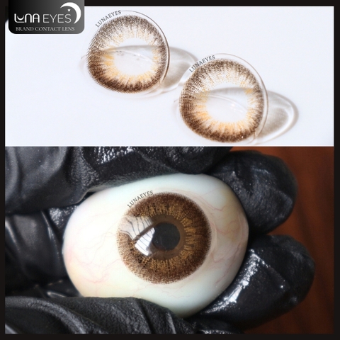 (XẢ) 539 BROWN - size nhỏ