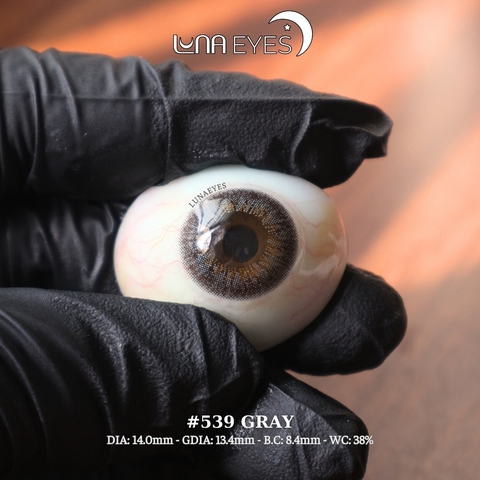 (XẢ) 539 GRAY - size nhỏ