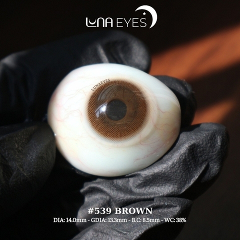 (HOT) 551 BROWN - size nhỏ