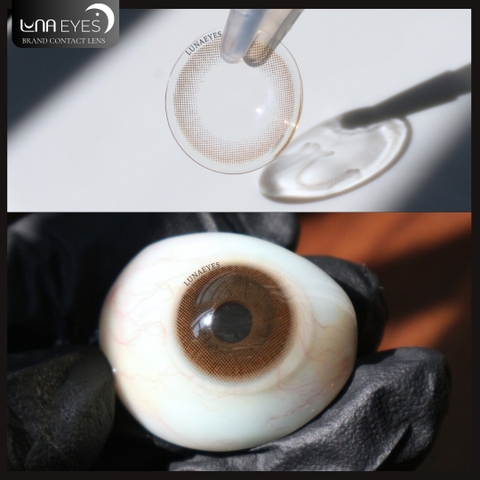 (HOT) 551 BROWN - size nhỏ