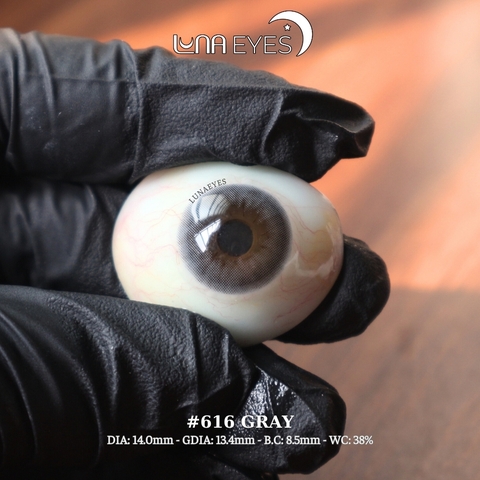 (THƯỜNG) 616 GRAY - size nhỏ