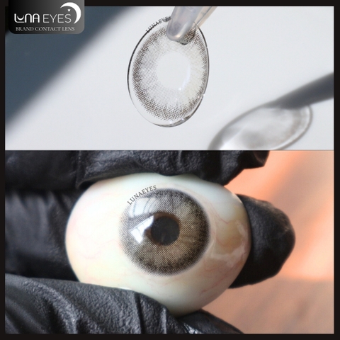 (THƯỜNG) 619 GRAY - size nhỏ