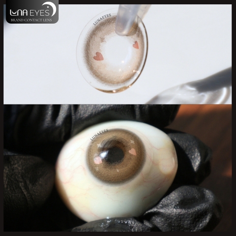 (XẢ) 635 BROWN - size nhỏ