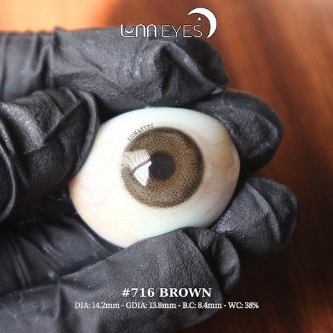 716 BROWN - size vừa