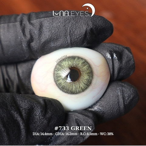 (HOT) 733 GREEN - size to