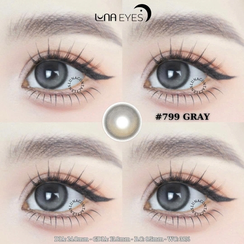 799 GRAY - size vừa