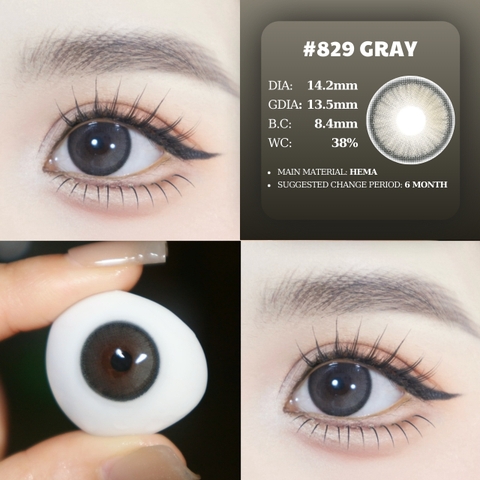 (HOT) 829 GRAY - size vừa