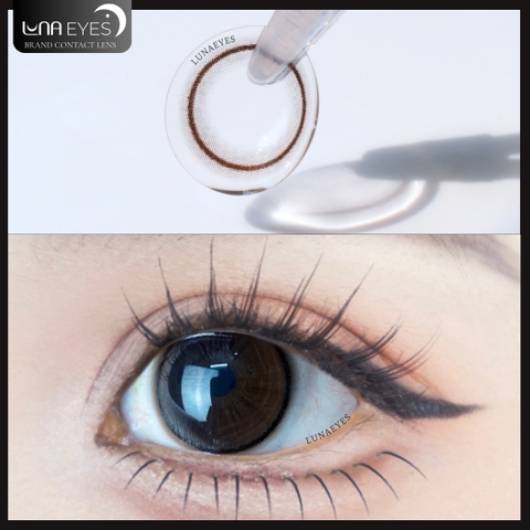 (XẢ) AL-103 CHOCO - size vừa