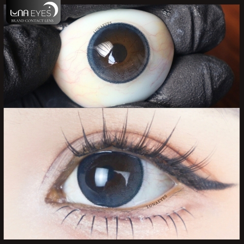 (THƯỜNG) C795 BLUE - size vừa