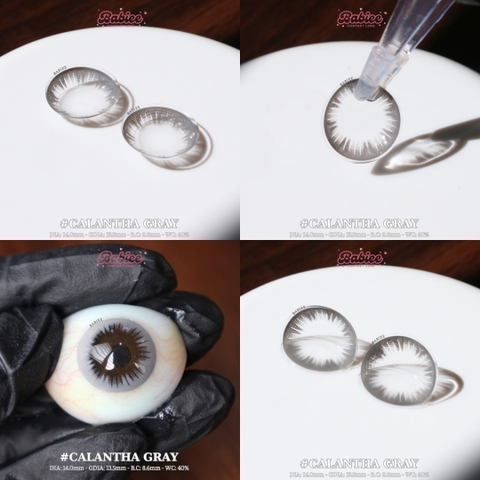 CALANTHA GRAY - size to