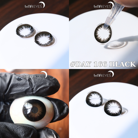 [1-DAY] 166 BLACK - Size to