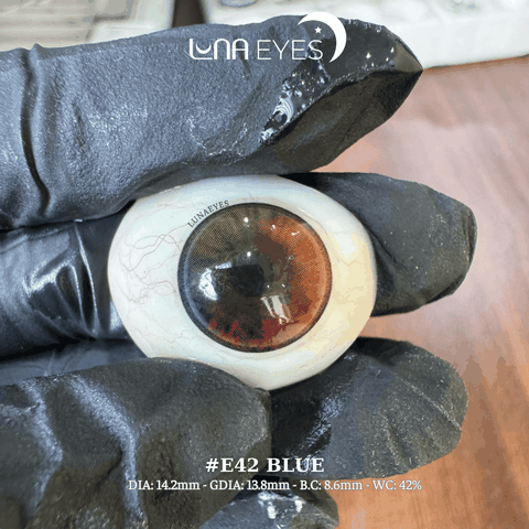 E42 BLUE - size vừa