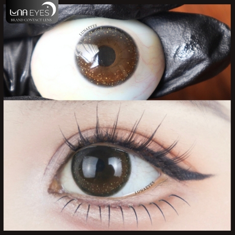 (XẢ) E46 BLACK - size vừa