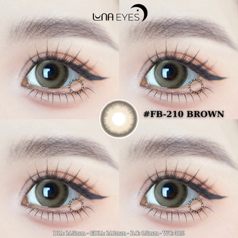 FB-210 BROWN - size to