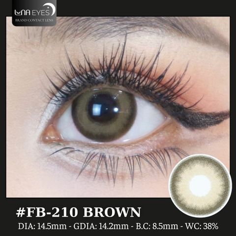 (HOT) FB-210 BROWN - size to