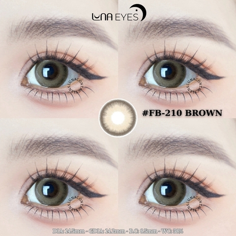 (HOT) FB-210 BROWN - size to
