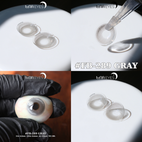 FB-289 GRAY - size vừa