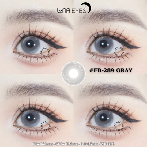 FB-289 GRAY - size vừa