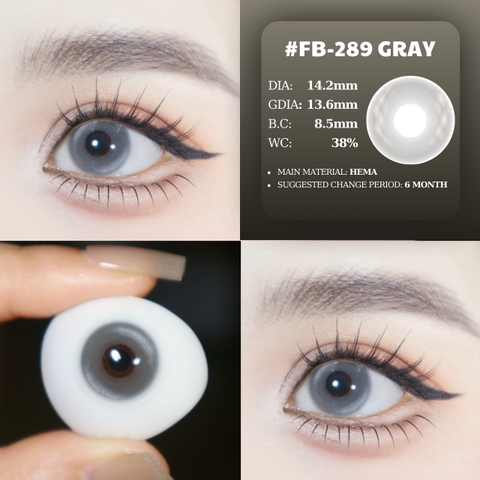 FB-289 GRAY - size vừa
