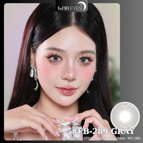 FB-289 GRAY - size vừa