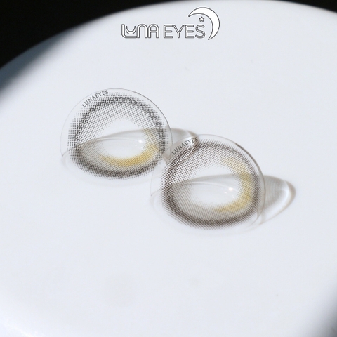 FC-304 GRAY - size vừa