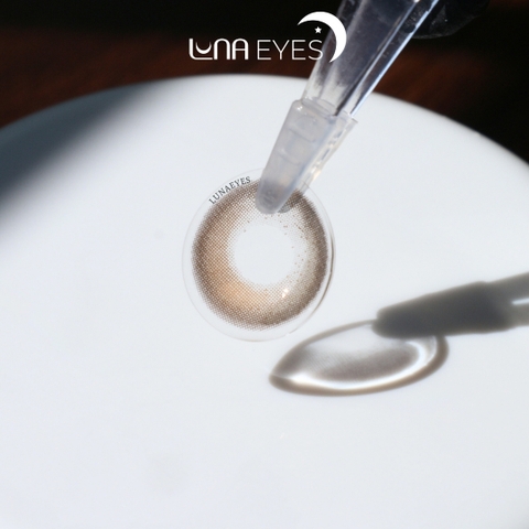 (XẢ) FC-313 BROWN - size vừa