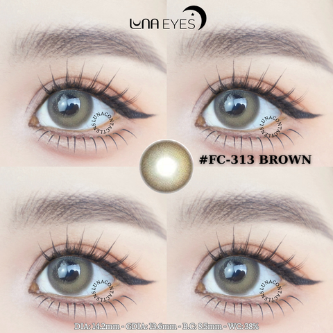 FC-313 BROWN - size vừa