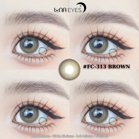 (XẢ) FC-313 BROWN - size vừa