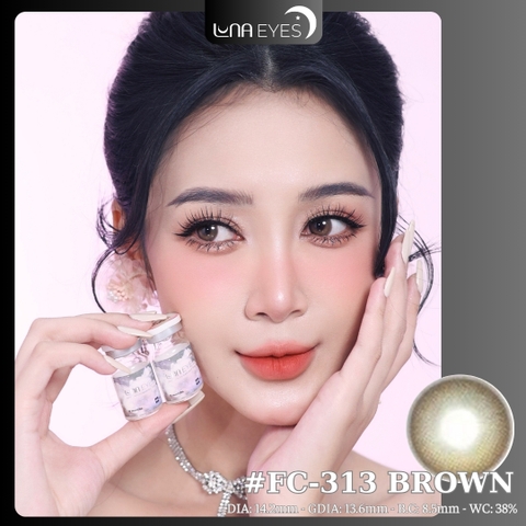 (XẢ) FC-313 BROWN - size vừa