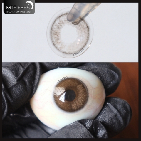 (XẢ) FC-314 BROWN - size vừa