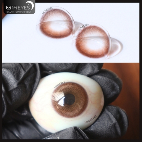 (HOT) FC-316 BROWN - size vừa