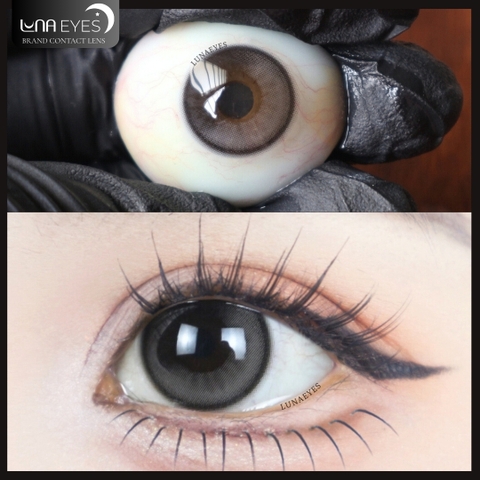 FC-397 GRAY - size vừa