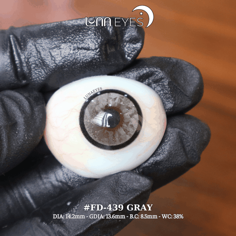 FD-439 GRAY -size vừa