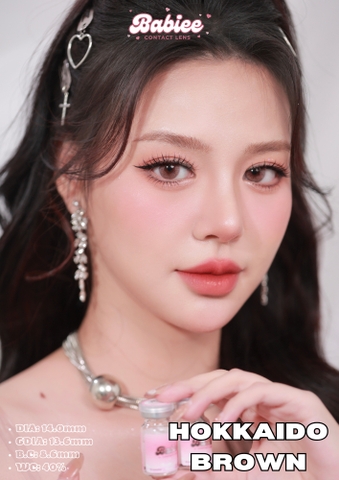 HOKKAIDO BROWN - size to