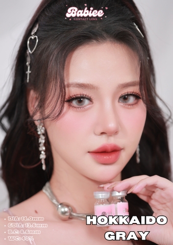 HOKKAIDO GRAY - size to