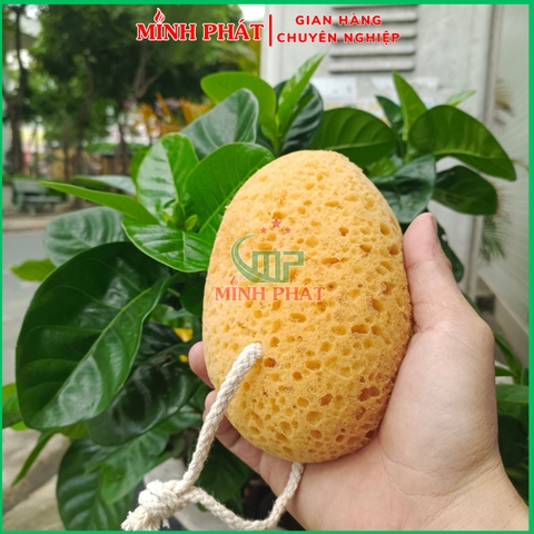 Miếng Tạo Vân Màu Cà Phê 15,5cm Minh Phát Bọt Biển Sơn Hiệu Ứng