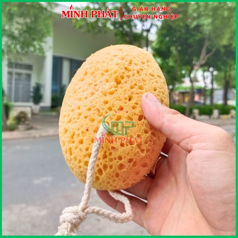 Miếng Tạo Vân Màu Cà Phê 15,5cm Minh Phát Bọt Biển Sơn Hiệu Ứng
