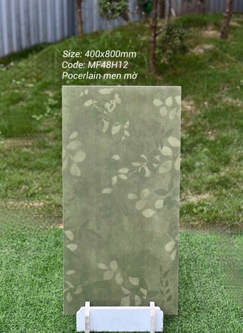 Gạch ốp tường 40x80cm nhập khẩu TQ