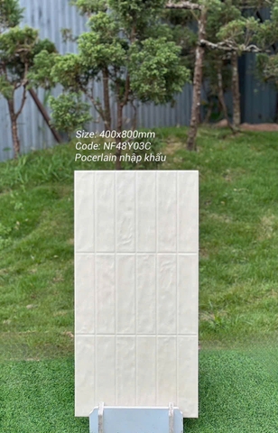Gạch ốp tường 40x80cm nhập khẩu TQ