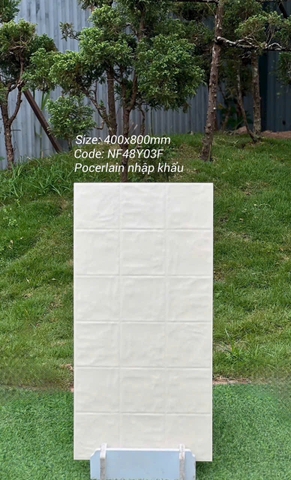 Gạch ốp tường 40x80cm nhập khẩu TQ
