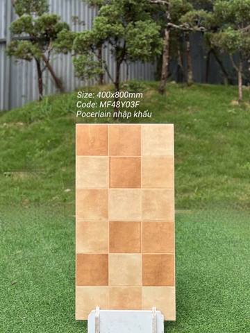 Gạch ốp tường 40x80cm nhập khẩu TQ