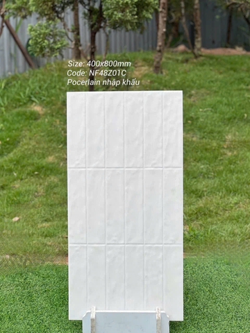 Gạch ốp tường 40x80cm nhập khẩu TQ