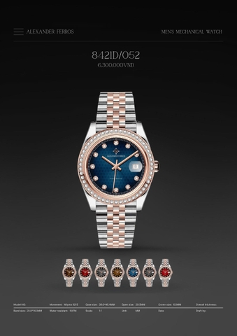 Đồng Hồ Nam Alexander Ferros 8421D/052