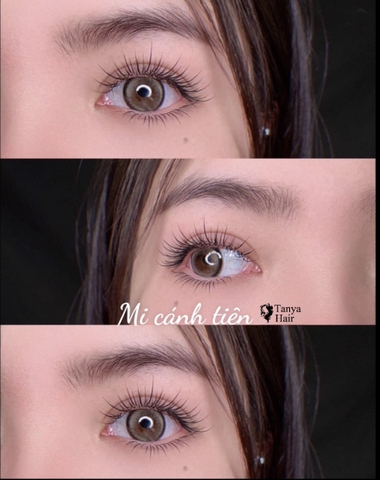 Dáng Mi Cánh Tiên