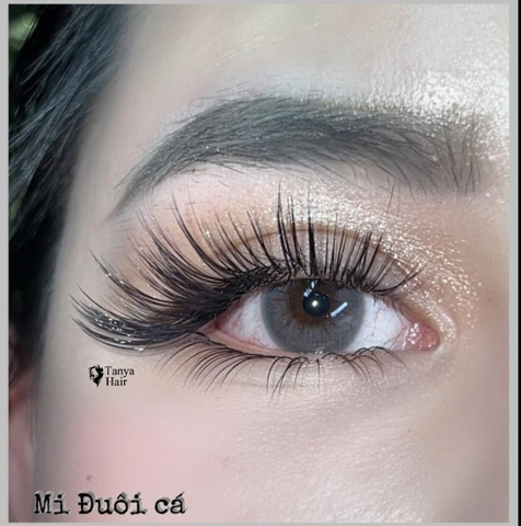 Dáng Mi Đuôi Cá