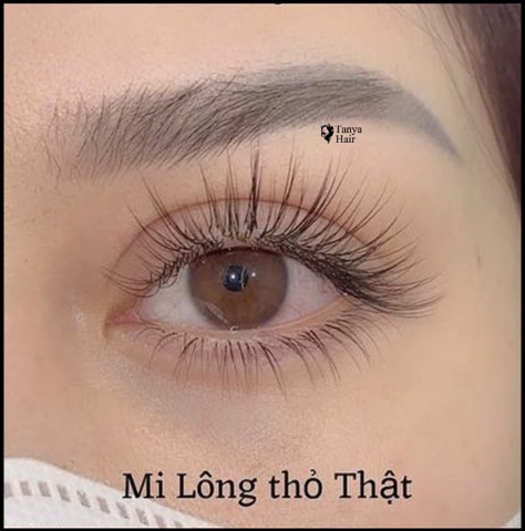 Dáng Mi Lông Thật