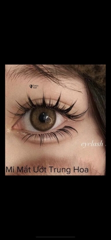Dáng Mi Mắt Ướt