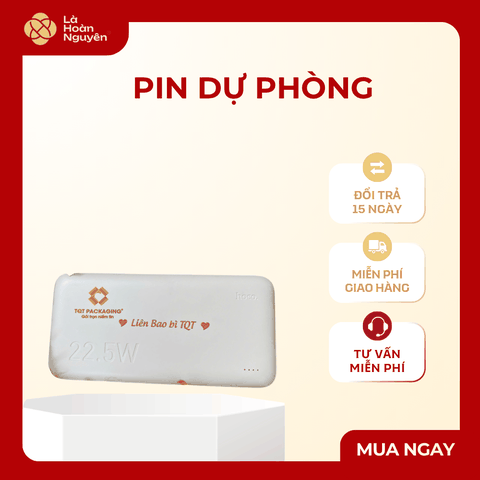 Pin Dự Phòng